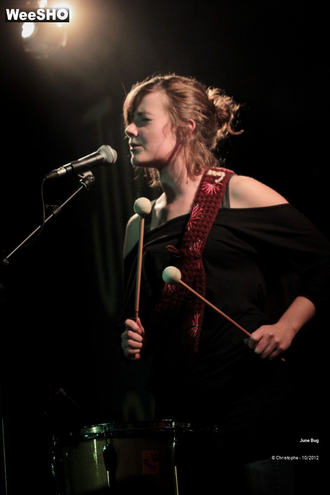 26/26 photos du spectacle June bug & the storytellers