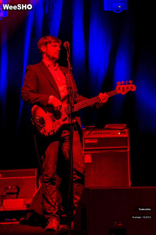 11/31 photos du spectacle Tindersticks
