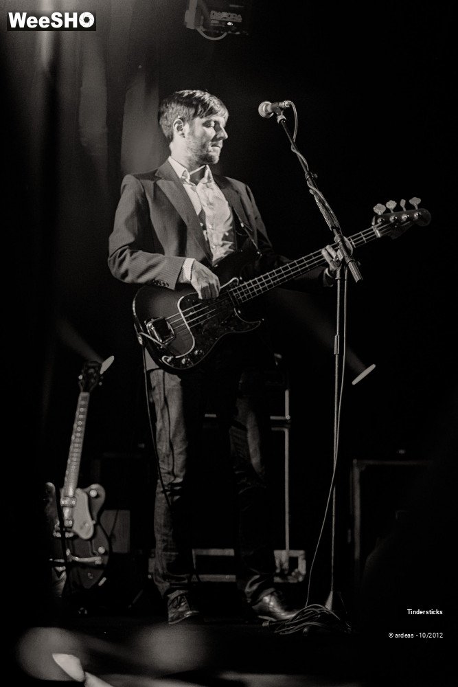 16/31 photos du spectacle Tindersticks