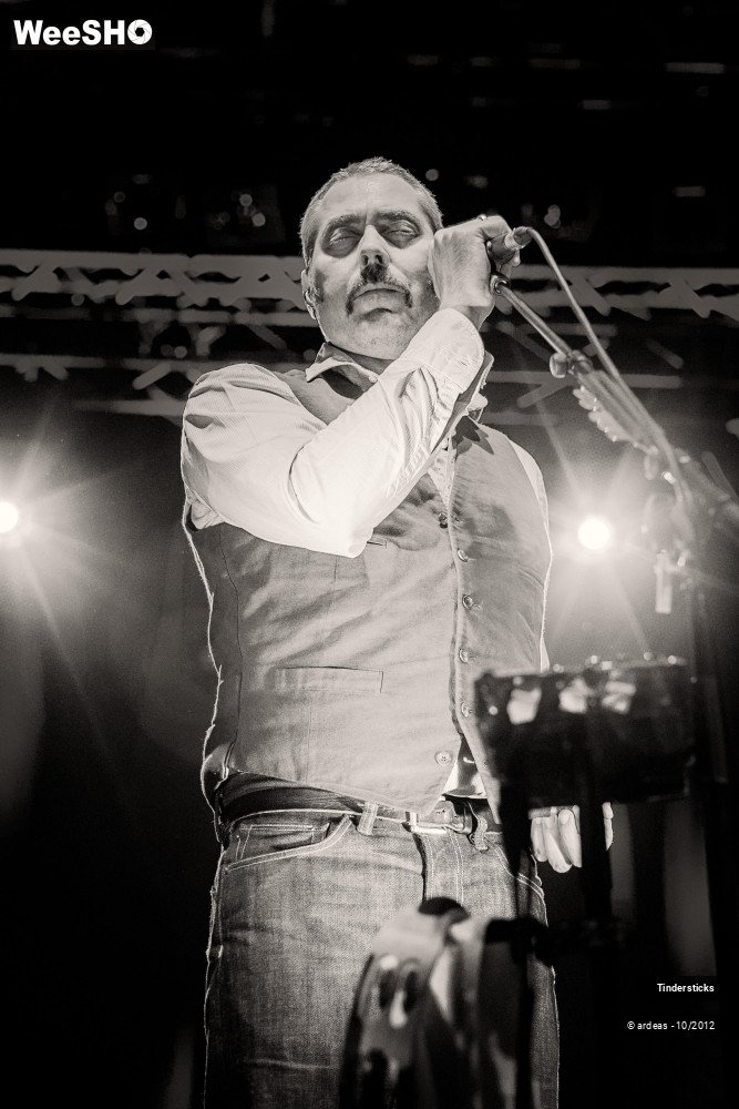 18/31 photos du spectacle Tindersticks