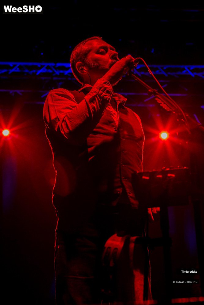 23/31 photos du spectacle Tindersticks