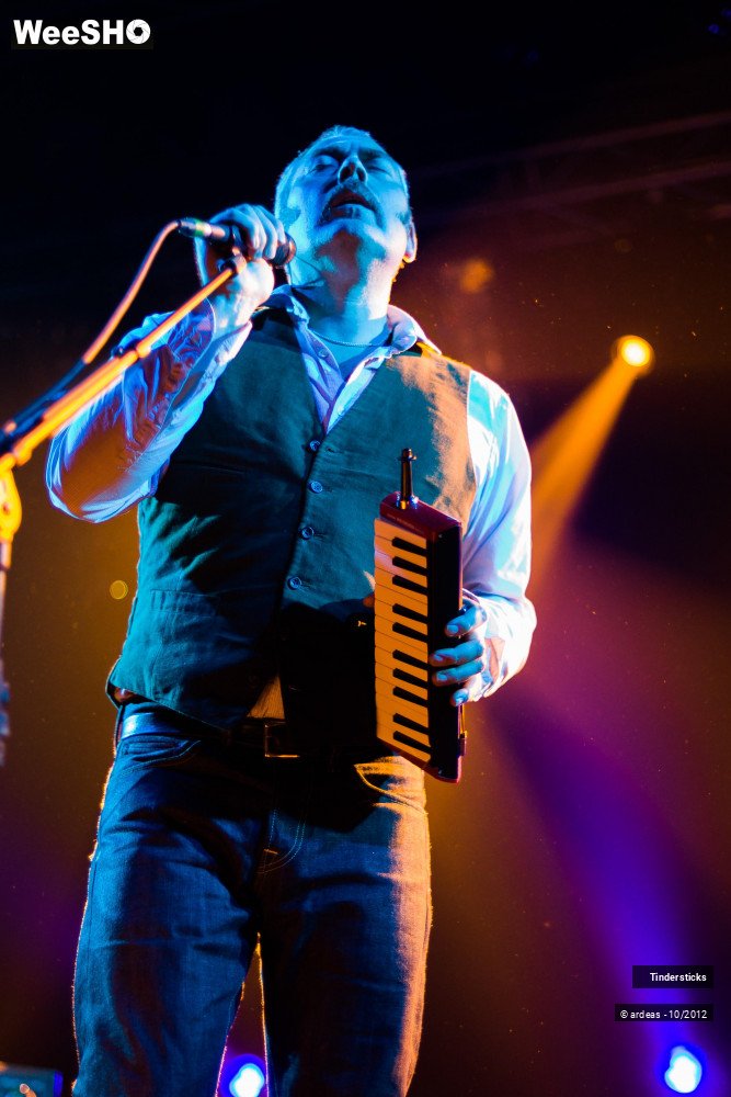 24/31 photos du spectacle Tindersticks