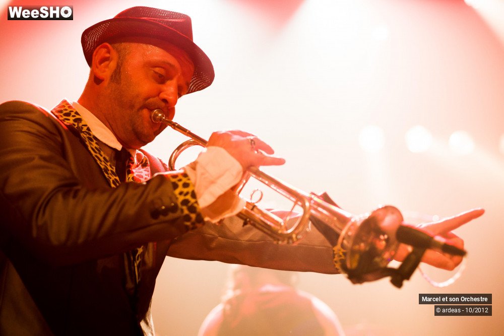 2/48 photos du spectacle Marcel et son orchestre