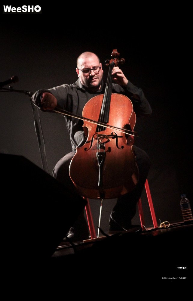 30/38 photos du spectacle Rodrigue