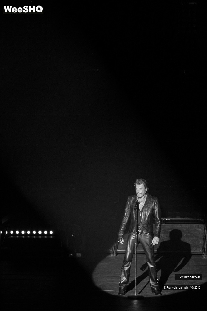 6/50 photos du spectacle Johnny Hallyday