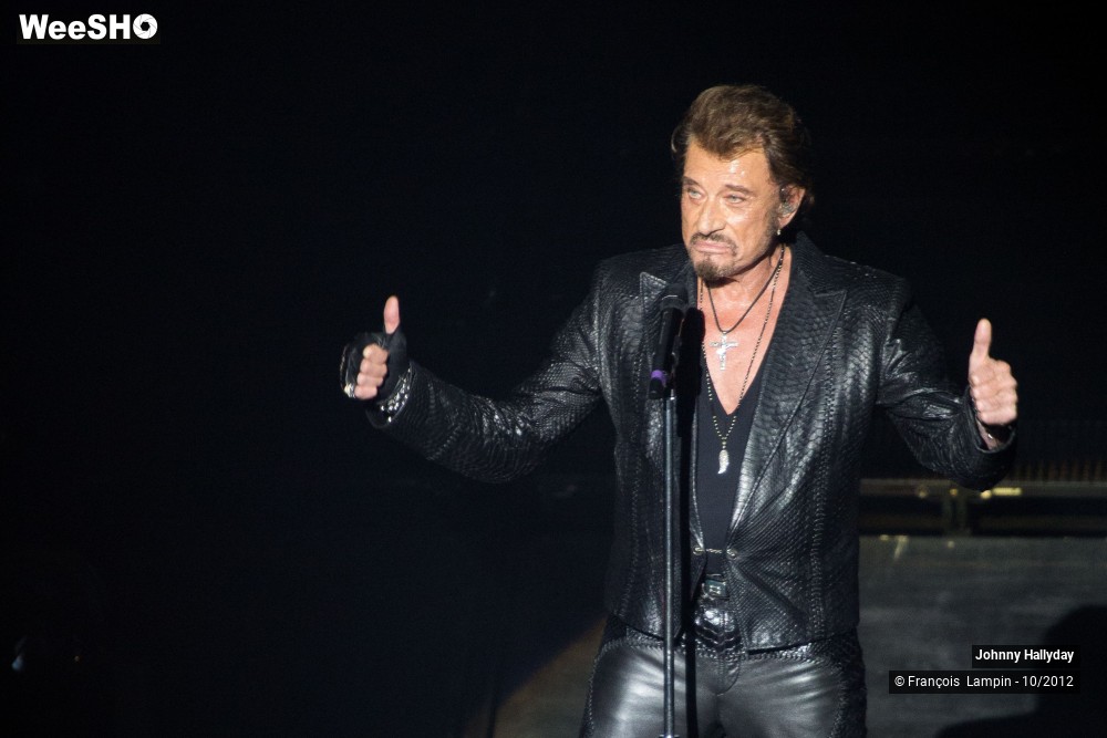 8/50 photos du spectacle Johnny Hallyday
