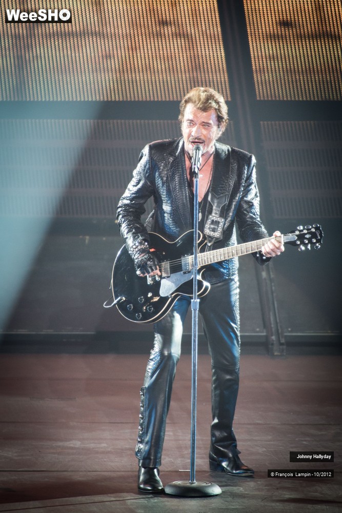 15/50 photos du spectacle Johnny Hallyday