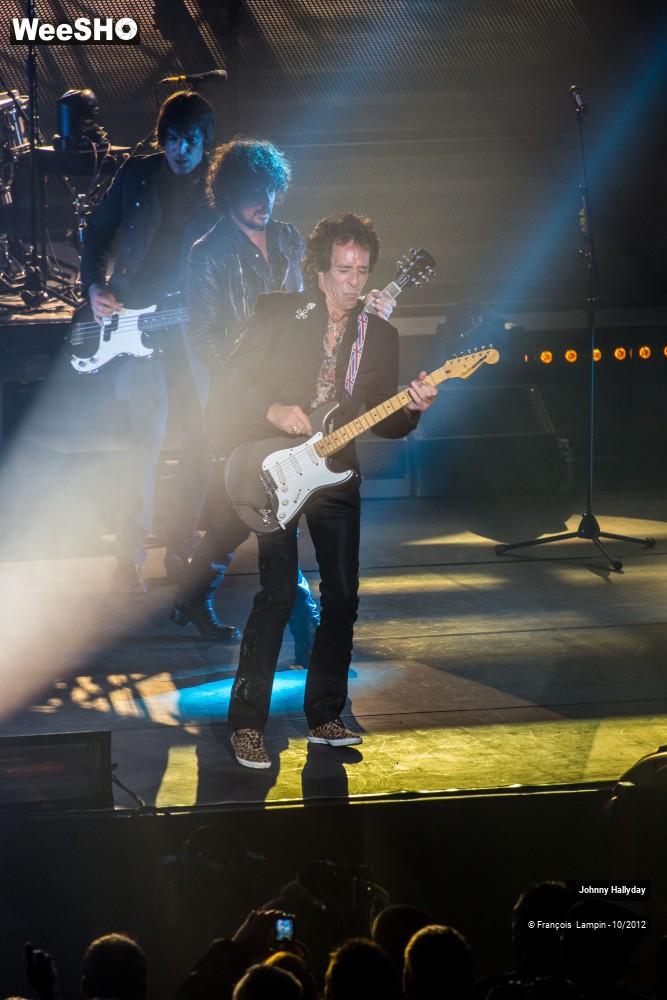 16/50 photos du spectacle Johnny Hallyday