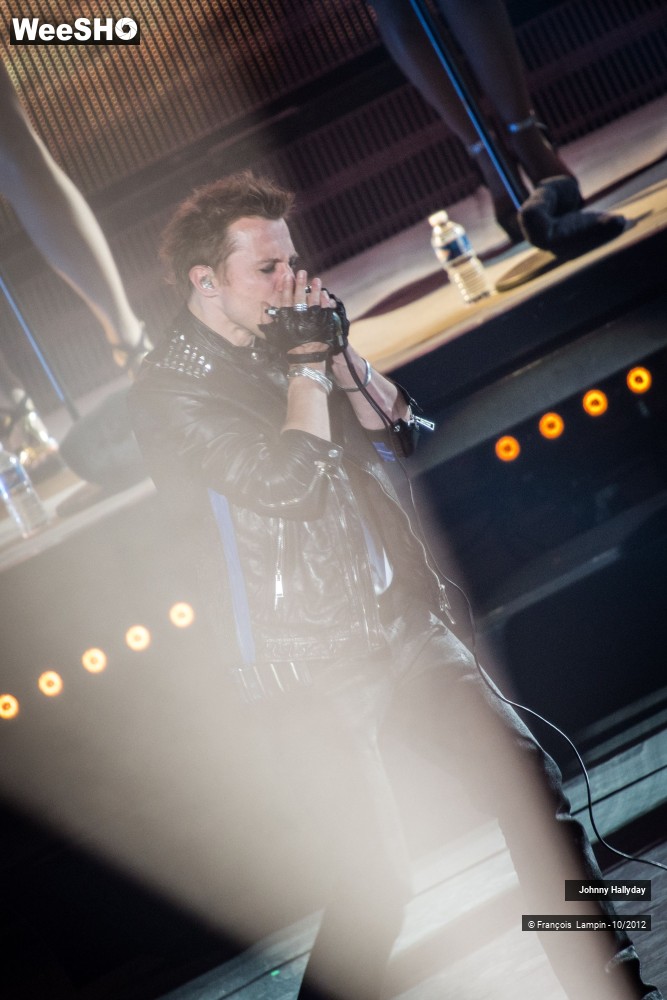 40/50 photos du spectacle Johnny Hallyday