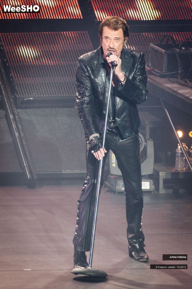 42/50 photos du spectacle Johnny Hallyday