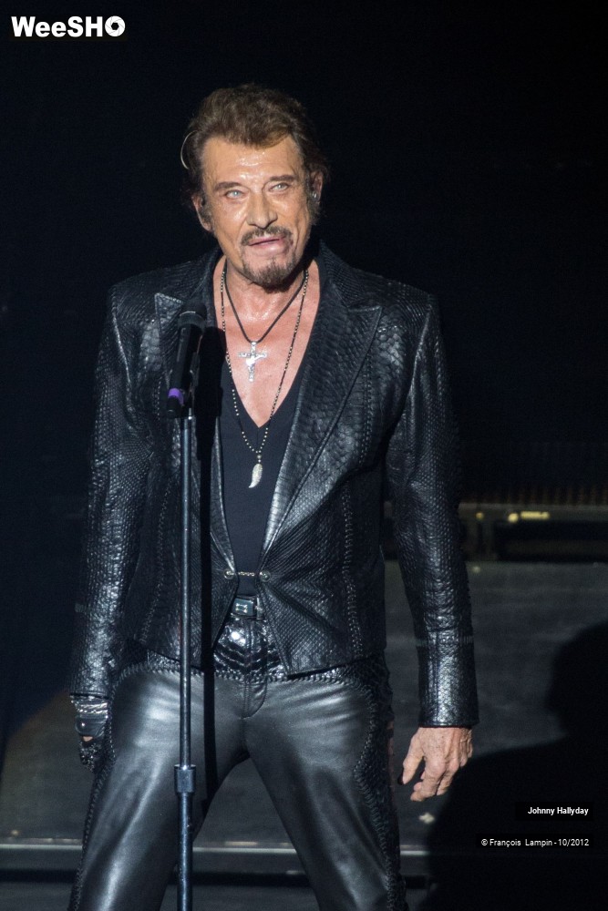 44/50 photos du spectacle Johnny Hallyday