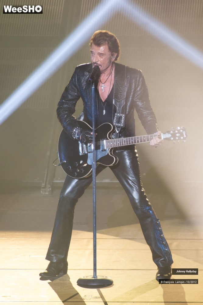 46/50 photos du spectacle Johnny Hallyday