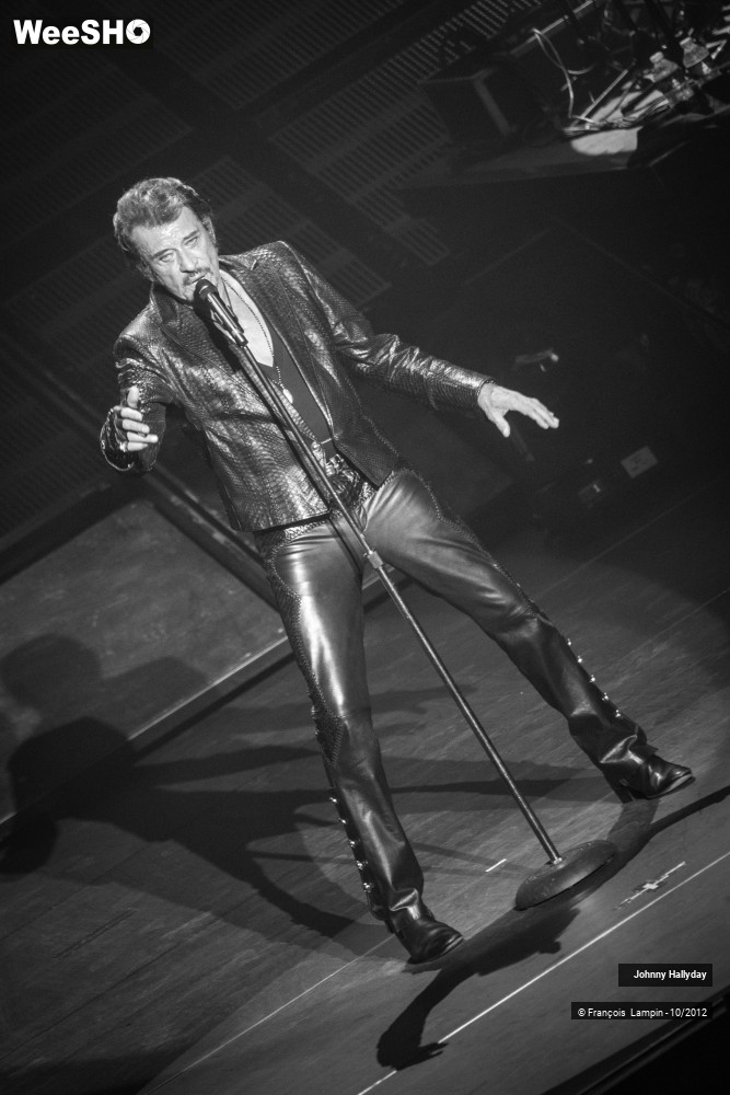 48/50 photos du spectacle Johnny Hallyday