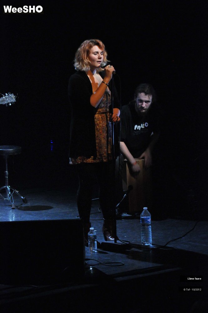 17/25 photos du spectacle L'âme fauve
