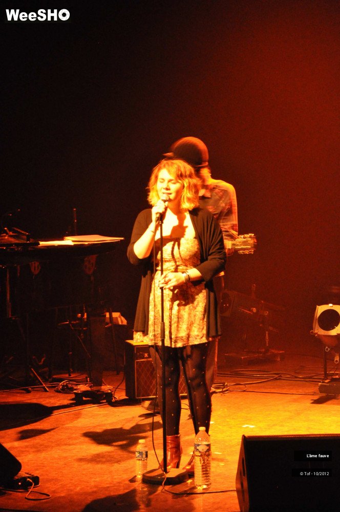 21/25 photos du spectacle L'âme fauve