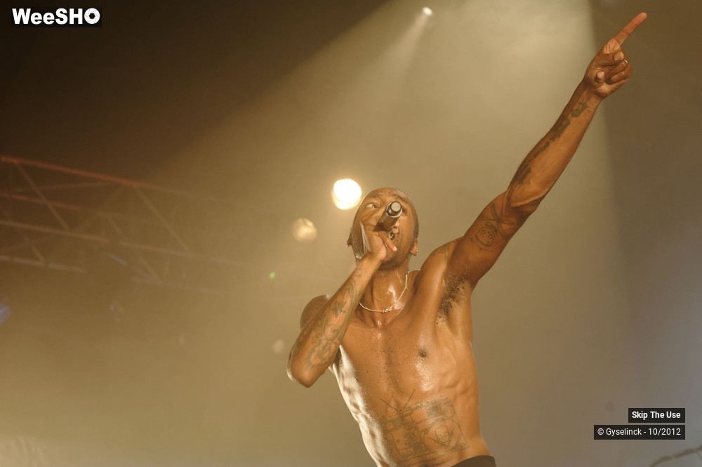 3/29 photos du spectacle Skip The Use