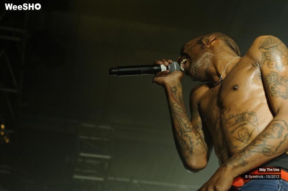 12/29 photos du spectacle Skip The Use