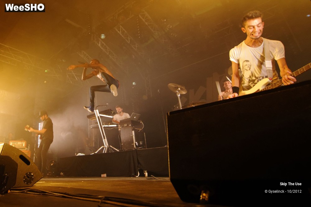 13/29 photos du spectacle Skip The Use