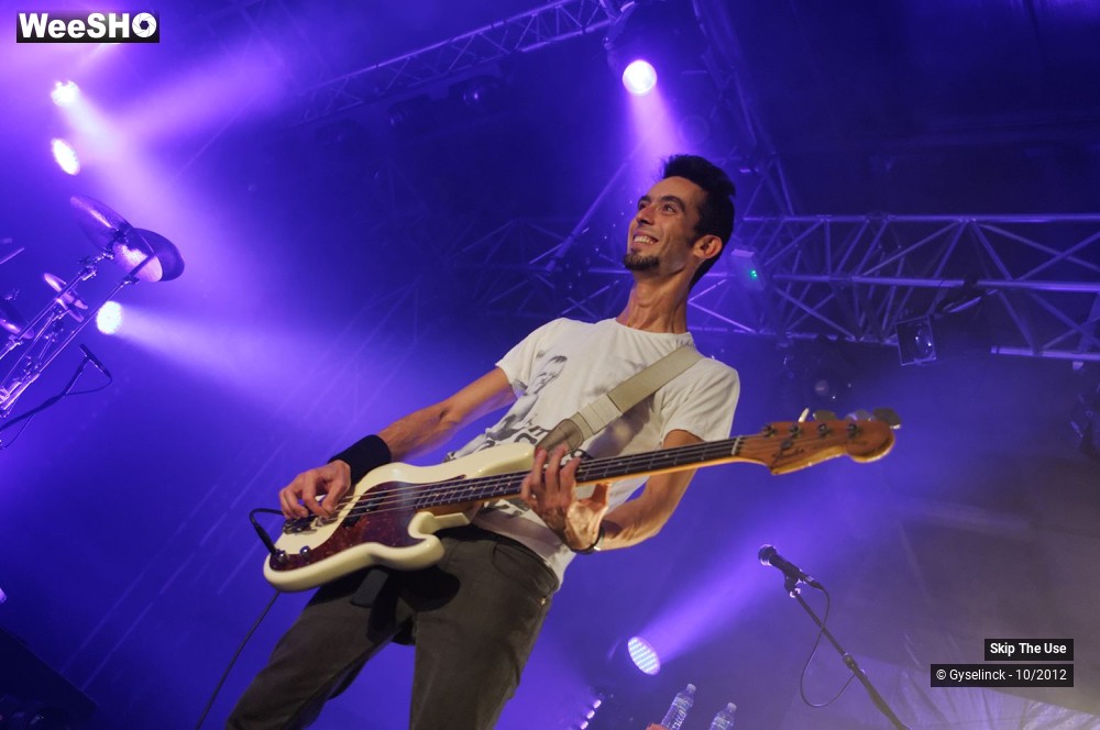 14/29 photos du spectacle Skip The Use