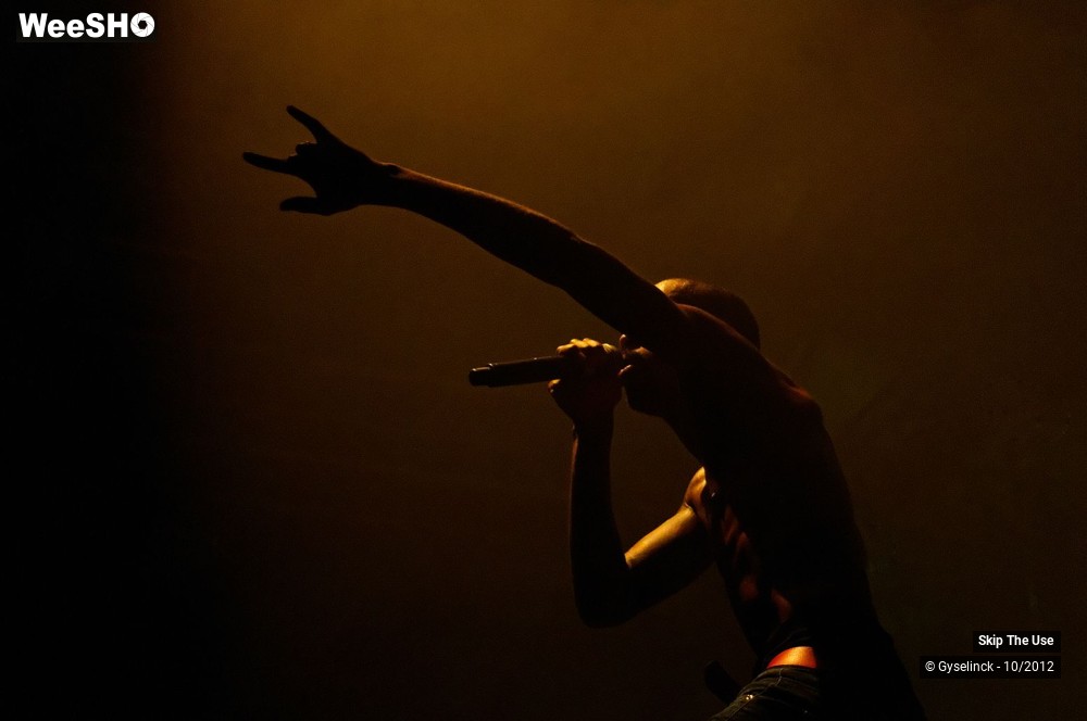 15/29 photos du spectacle Skip The Use