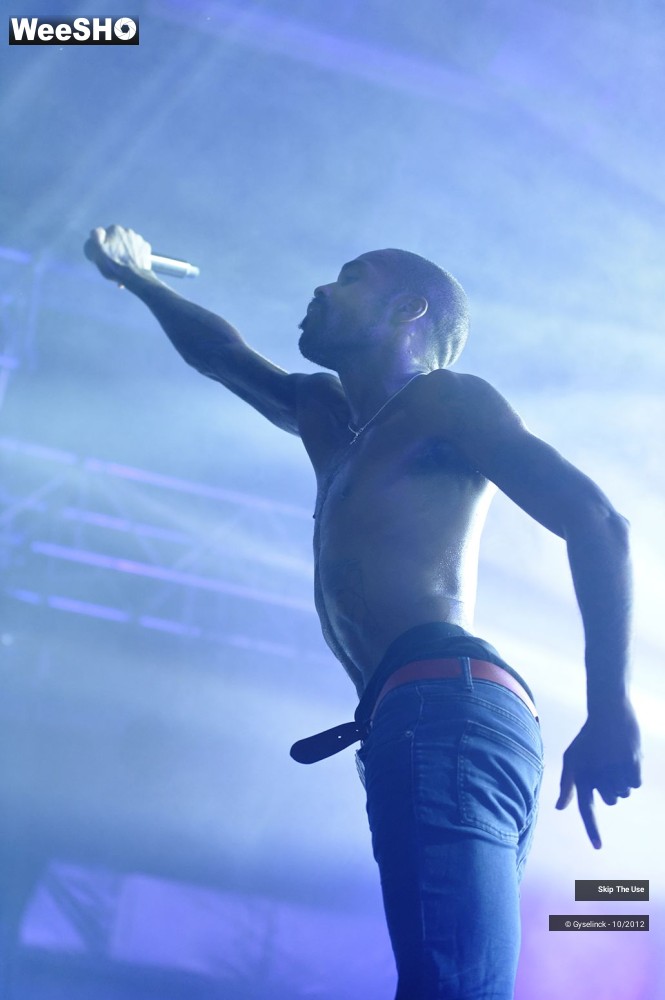17/29 photos du spectacle Skip The Use