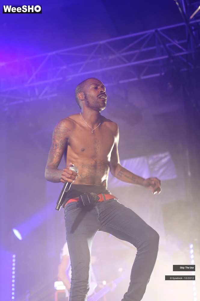 20/29 photos du spectacle Skip The Use