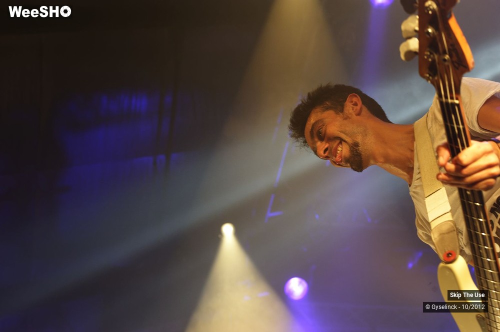 23/29 photos du spectacle Skip The Use