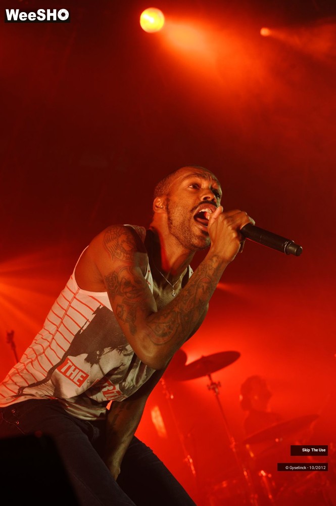 27/29 photos du spectacle Skip The Use