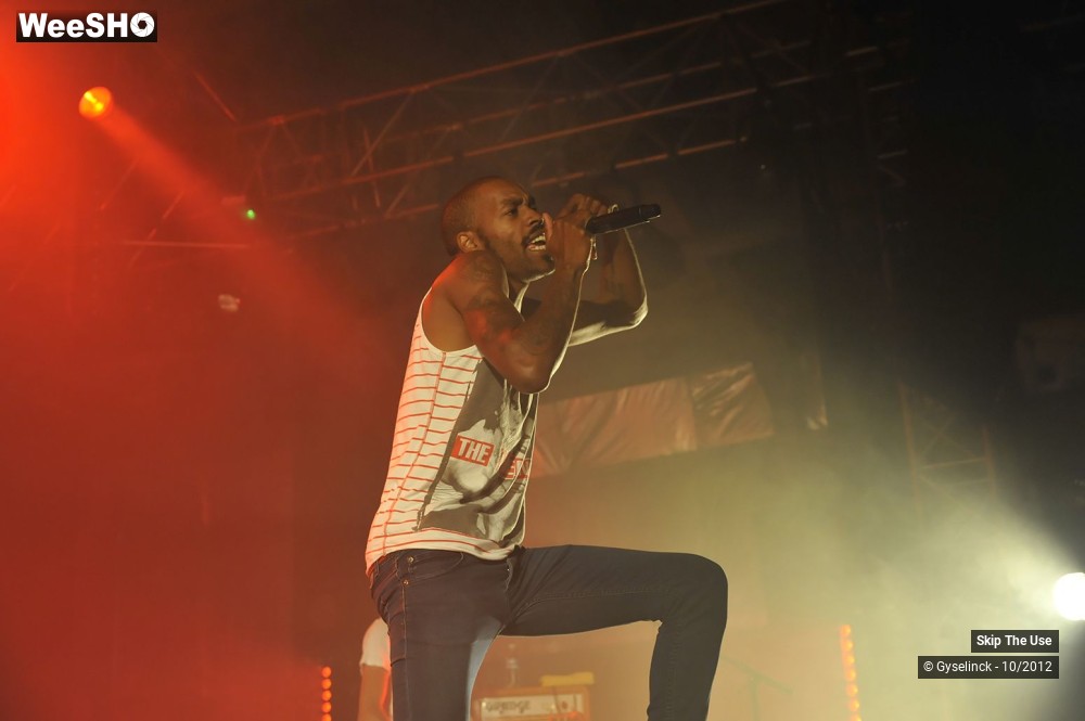 29/29 photos du spectacle Skip The Use