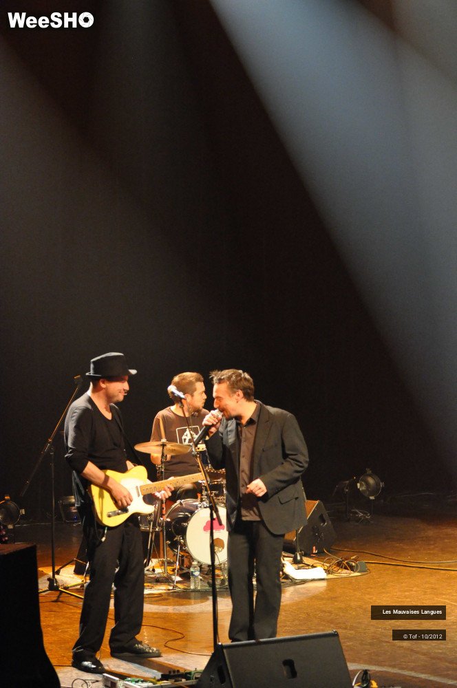 37/47 photos du spectacle Les Mauvaises Langues