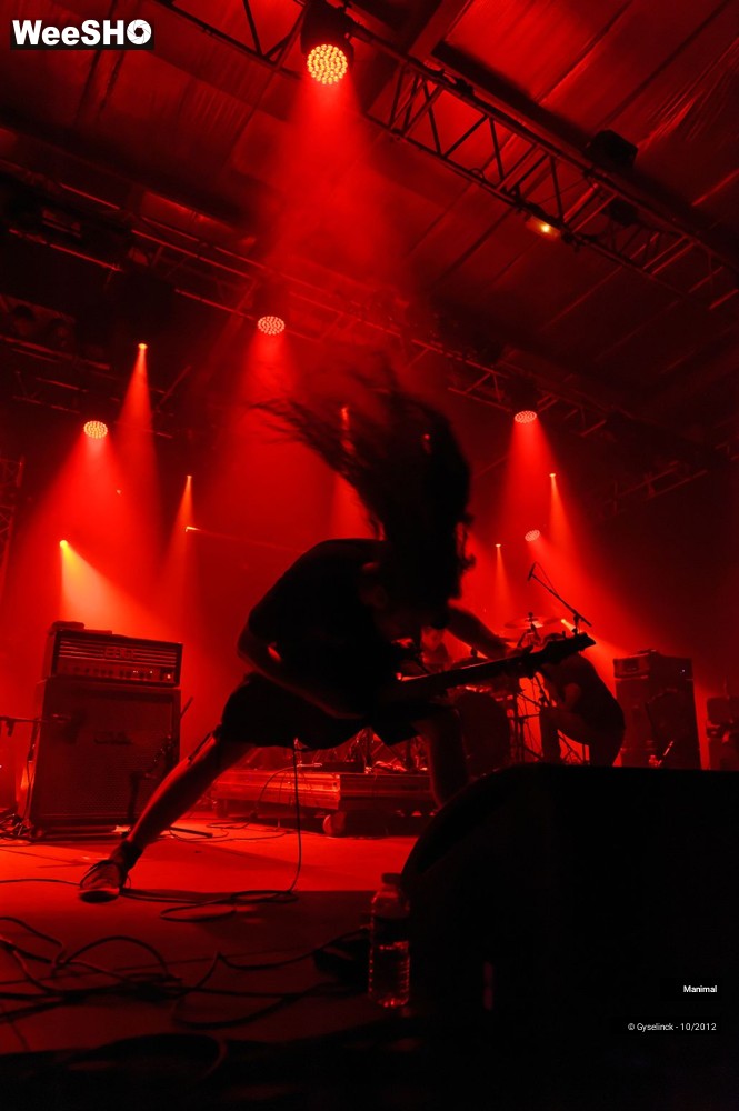 22/24 photos du spectacle Manimal