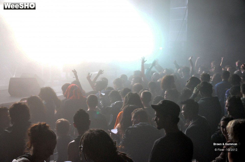 5/9 photos du spectacle Brown & Gammon