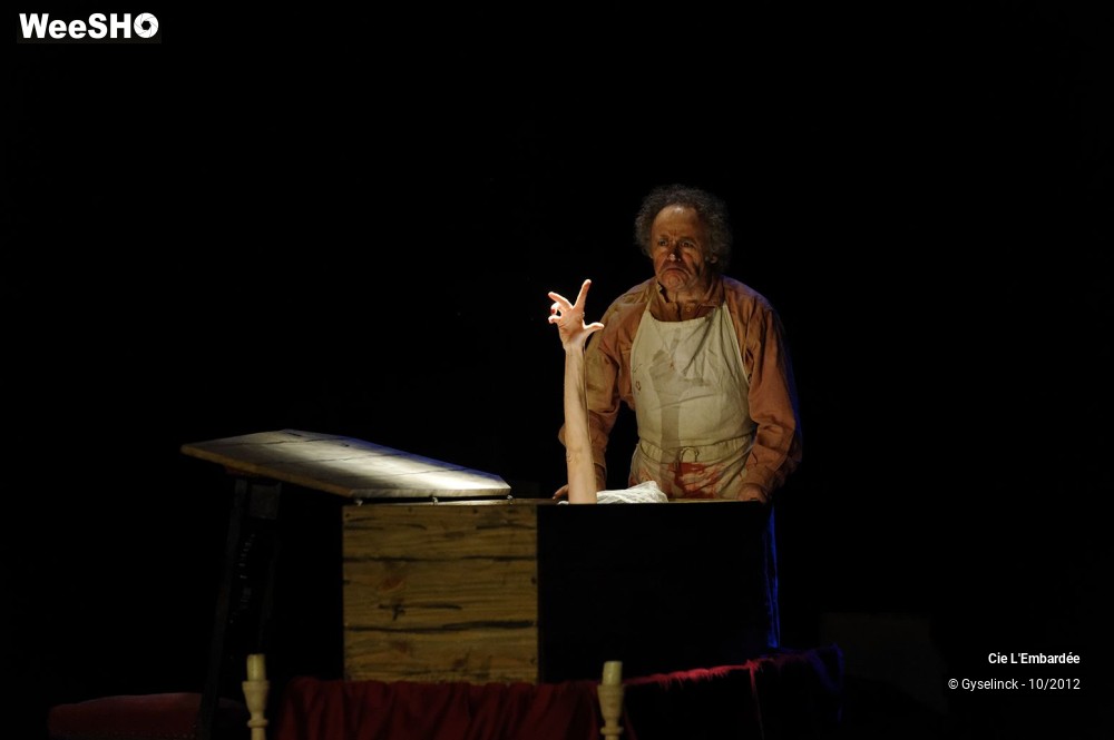 22/29 photos du spectacle Nina
