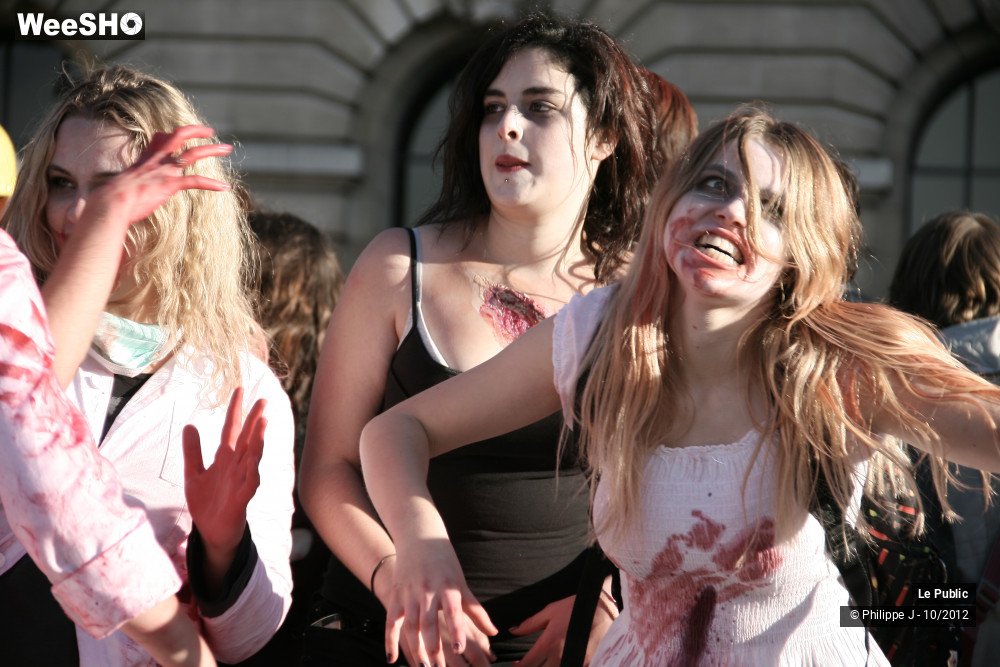 12/49 photos du spectacle Zombie Walk # 1