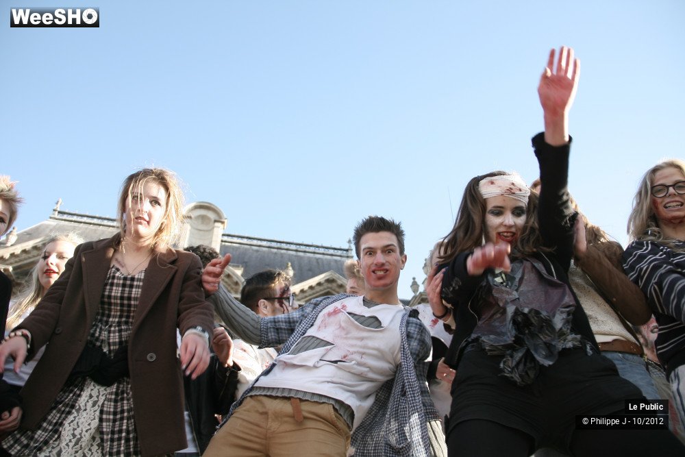 13/49 photos du spectacle Zombie Walk # 1