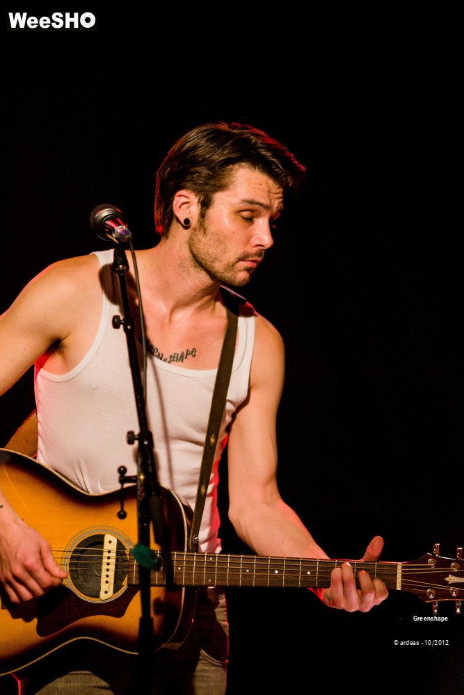 20/30 photos du spectacle Greenshape