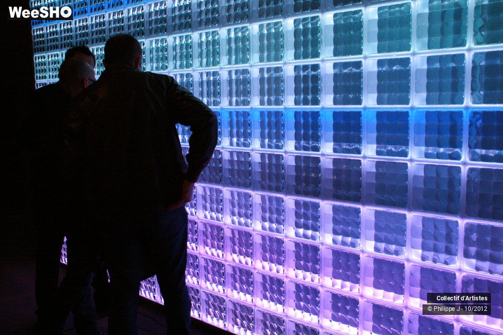 17/32 photos du spectacle Living Design