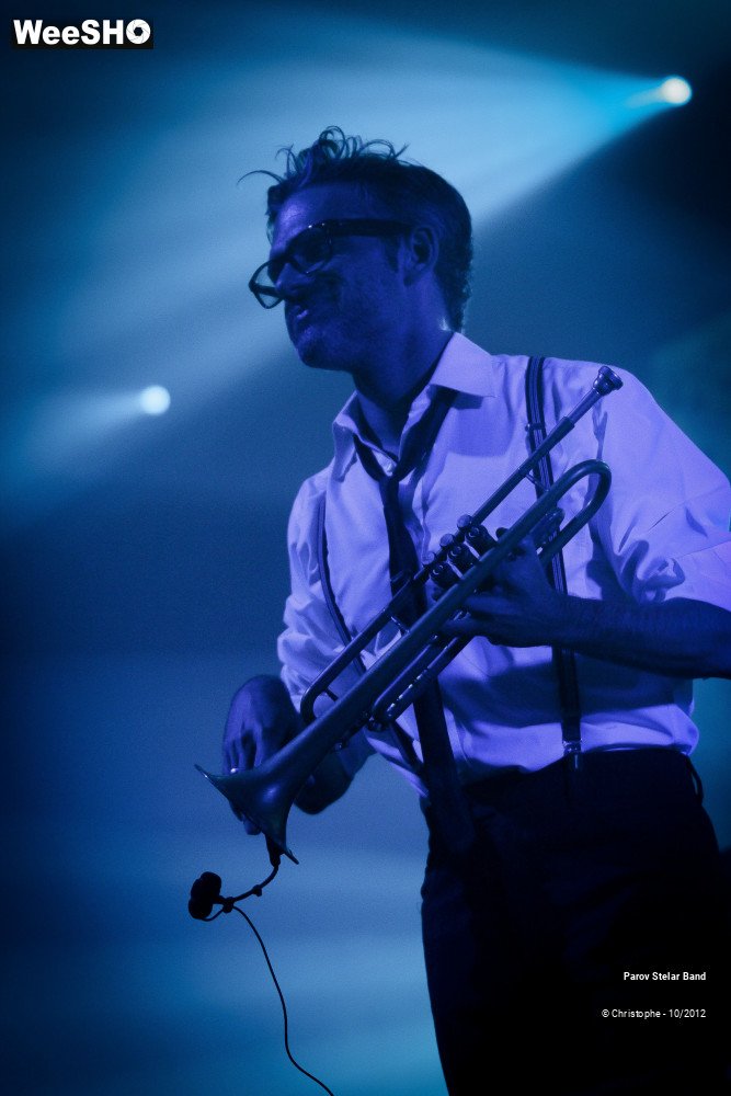 17/38 photos du spectacle Parov Stelar Band