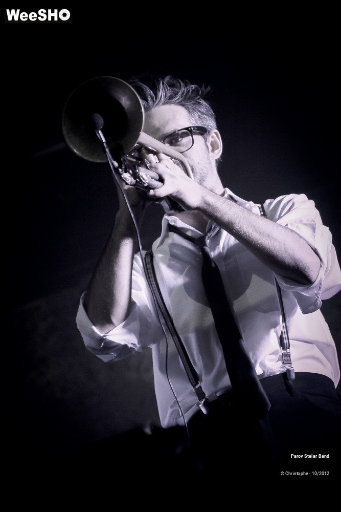 24/38 photos du spectacle Parov Stelar Band