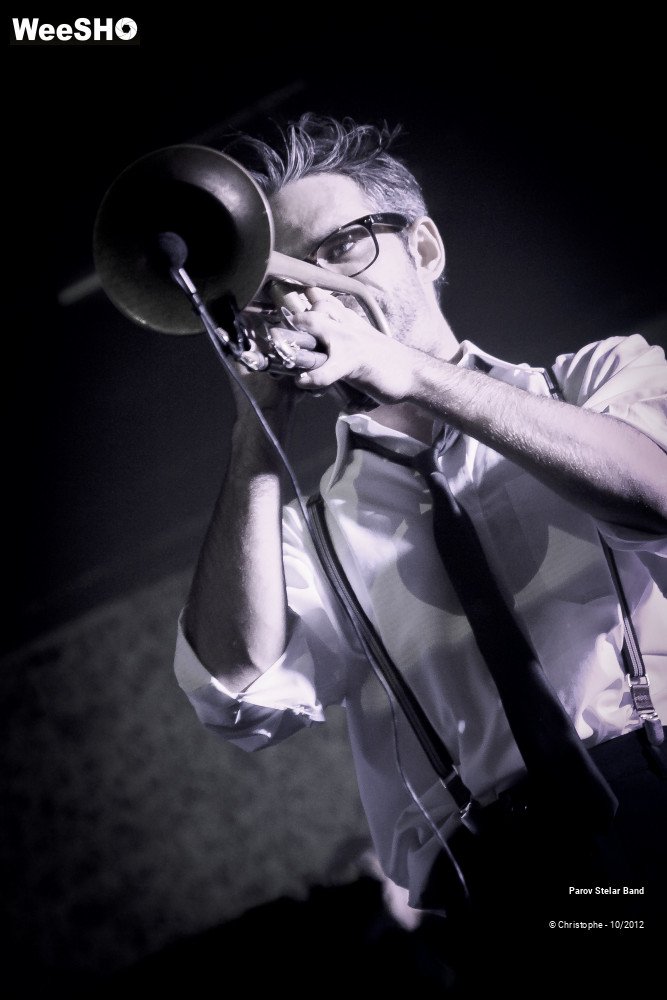 25/38 photos du spectacle Parov Stelar Band