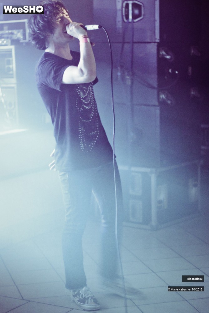 2/16 photos du spectacle Bison Bisou