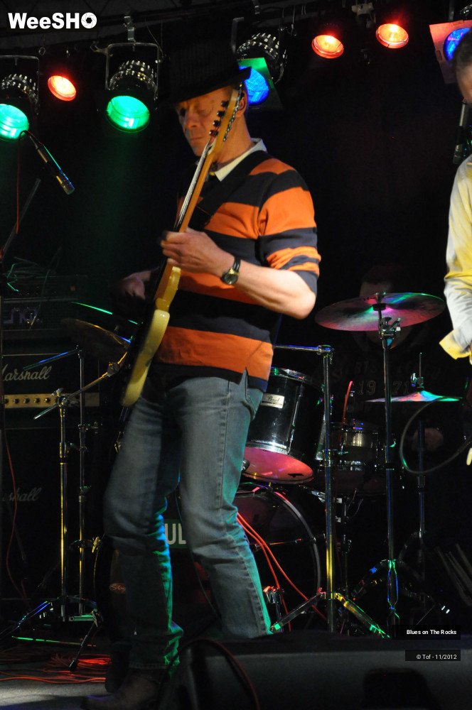 26/34 photos du spectacle Blues on The Rocks