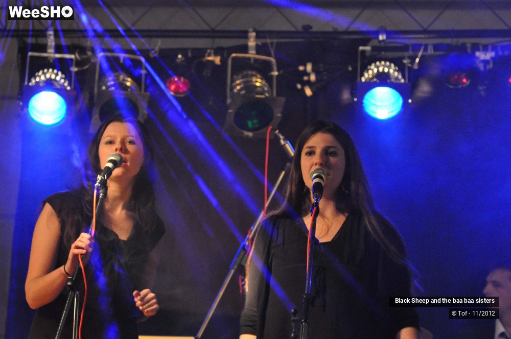 4/37 photos du spectacle Black Sheep and the baa baa sisters