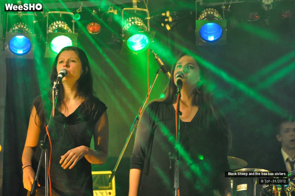 14/37 photos du spectacle Black Sheep and the baa baa sisters