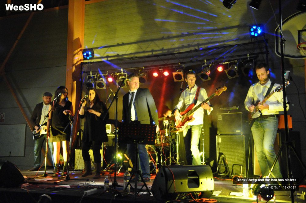 18/37 photos du spectacle Black Sheep and the baa baa sisters