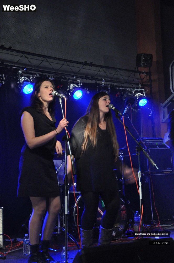 35/37 photos du spectacle Black Sheep and the baa baa sisters