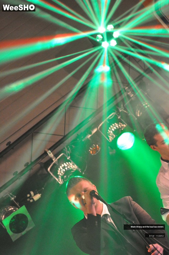 37/37 photos du spectacle Black Sheep and the baa baa sisters