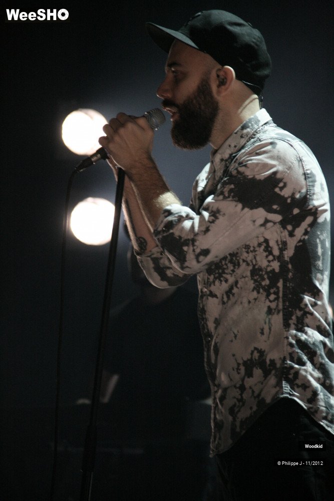 13/17 photos du spectacle Woodkid