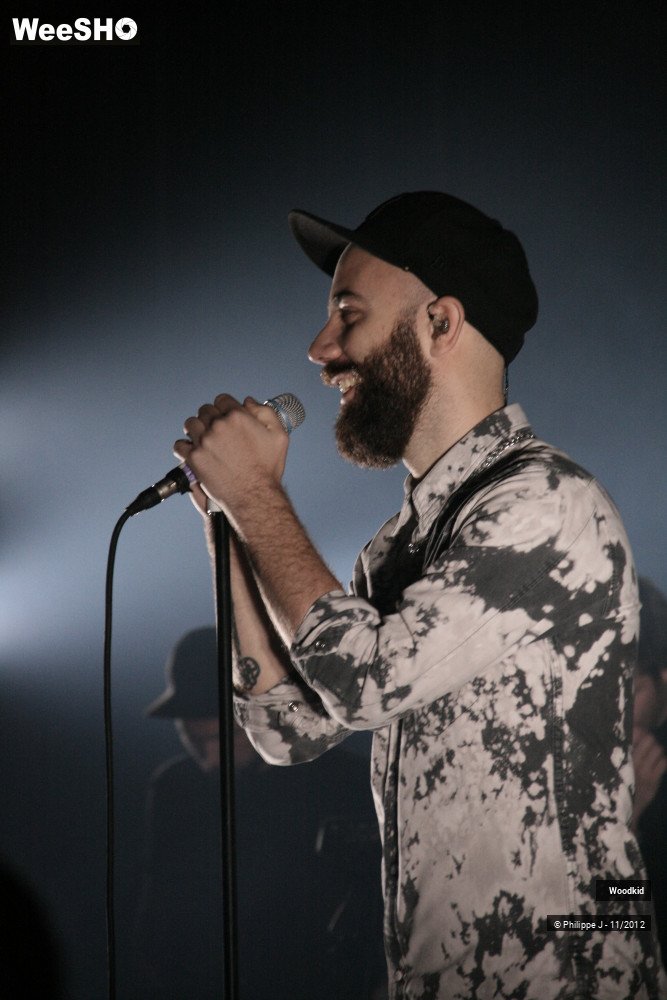 14/17 photos du spectacle Woodkid