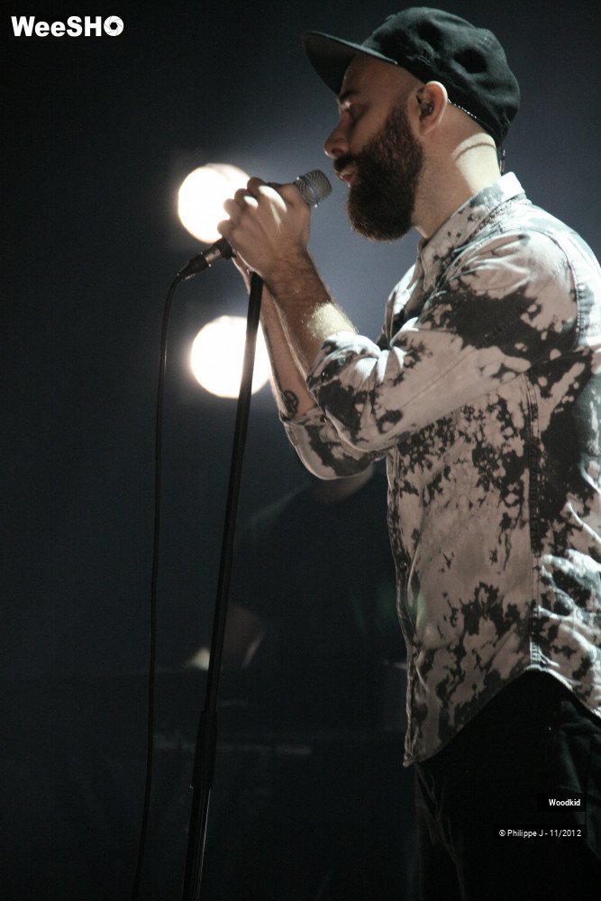 15/17 photos du spectacle Woodkid